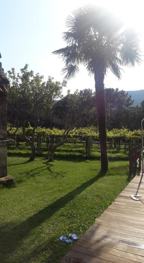 Os Areeiros Turismo Rural & Bodega Santa Cristina De Cobres Екстер'єр фото